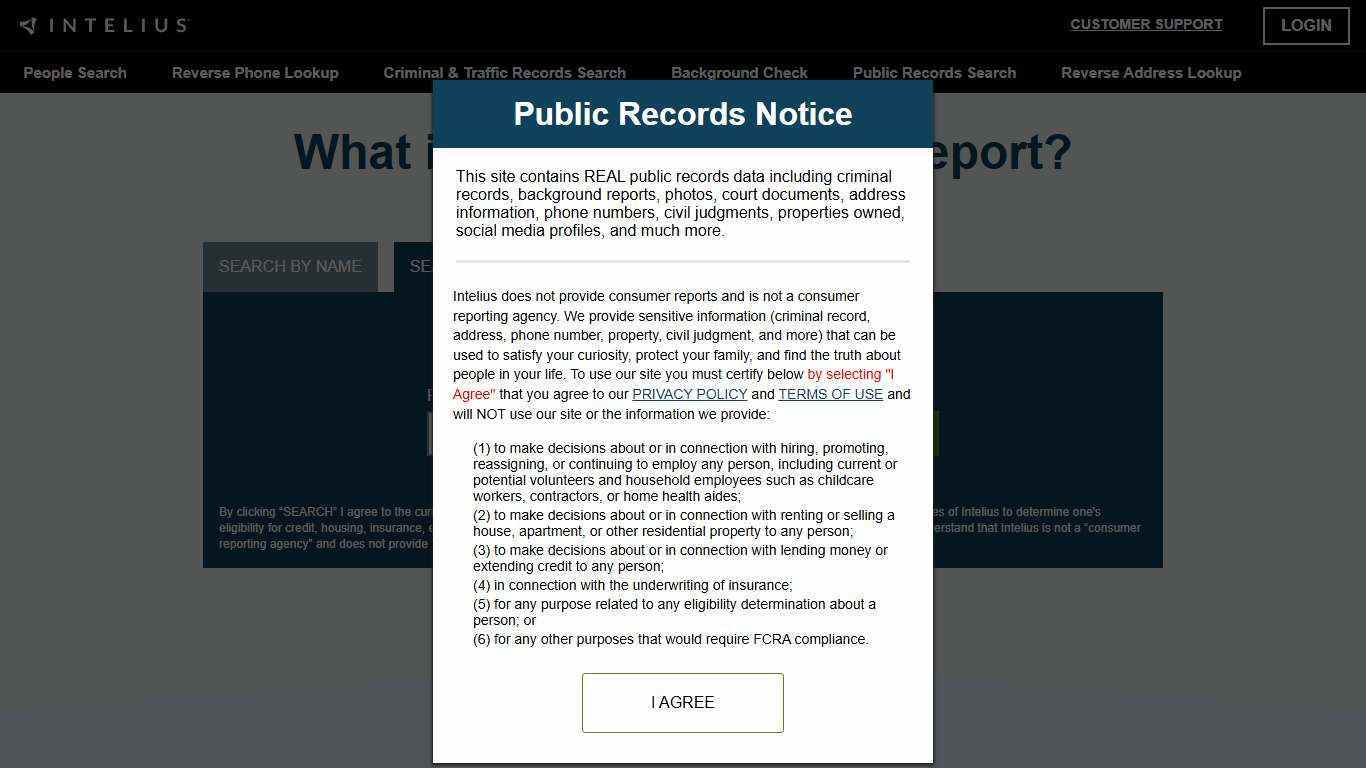 Intelius Phone Reports: What You Can Find